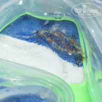 фото из отзыва ID 1857634