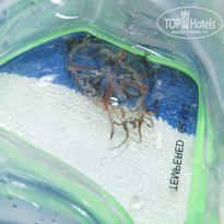 фото из отзыва ID 1857634