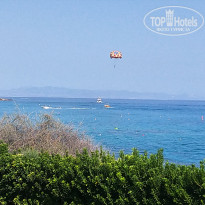 фото из отзыва ID 1859478