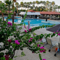 фото из отзыва ID 1859612