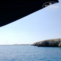 фото из отзыва ID 1859612