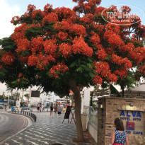 фото из отзыва ID 1852543