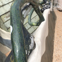 фото из отзыва ID 1855705