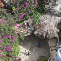 фото из отзыва ID 1855705