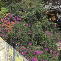 фото из отзыва ID 1855705