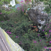 фото из отзыва ID 1855705