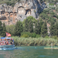 фото из отзыва ID 1852156