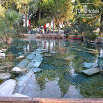 фото из отзыва ID 1852156