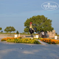 фото из отзыва ID 1852156