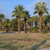 фото из отзыва ID 1852156