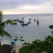 фото из отзыва ID 186032