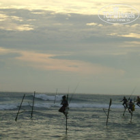 фото из отзыва ID 186032