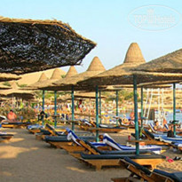 фото из отзыва ID 186598