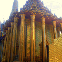 фото из отзыва ID 186603