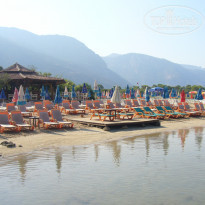 фото из отзыва ID 186691