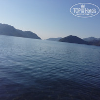 фото из отзыва ID 1860399