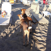 фото из отзыва ID 1860436