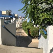 фото из отзыва ID 1860732