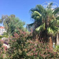 фото из отзыва ID 1860818