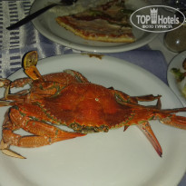 фото из отзыва ID 1860883