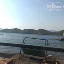 фото из отзыва ID 1860887