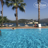 фото из отзыва ID 1860887