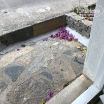 фото из отзыва ID 1860887