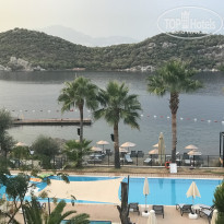 фото из отзыва ID 1860887