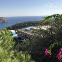 фото из отзыва ID 1860988