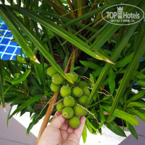 фото из отзыва ID 1861050