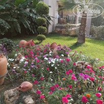 фото из отзыва ID 1861110