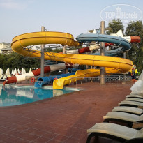 фото из отзыва ID 1861110