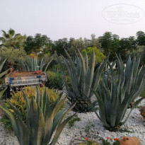 фото из отзыва ID 1861110