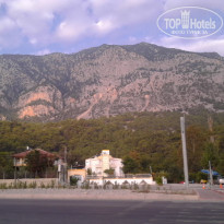 фото из отзыва ID 1861121