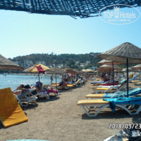 фото из отзыва ID 1861119