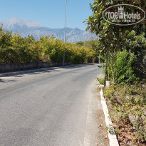 фото из отзыва ID 1861081