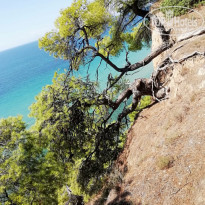 фото из отзыва ID 1861142