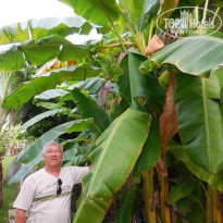 фото из отзыва ID 1861074