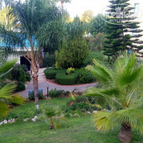 фото из отзыва ID 1861074