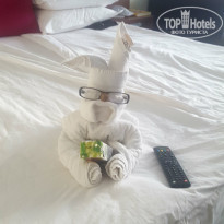 фото из отзыва ID 1861201