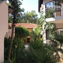 фото из отзыва ID 1860867