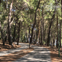 фото из отзыва ID 1860867