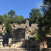 фото из отзыва ID 1860867