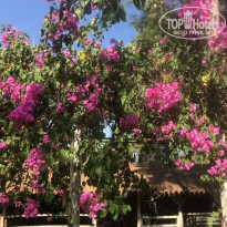 фото из отзыва ID 1860867