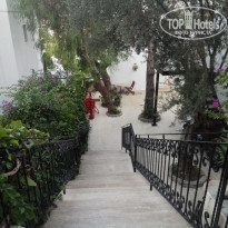 фото из отзыва ID 1861550