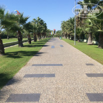 фото из отзыва ID 1861744