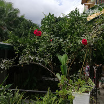 фото из отзыва ID 1861858