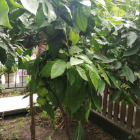 фото из отзыва ID 1861858