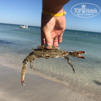 фото из отзыва ID 1861863