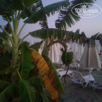 фото из отзыва ID 1862023